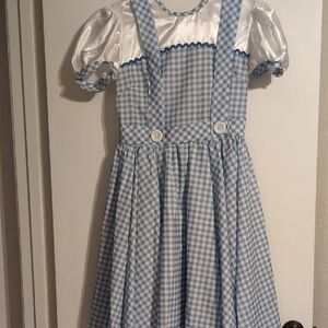 Dorothy Wizard Of Oz Dress Medium